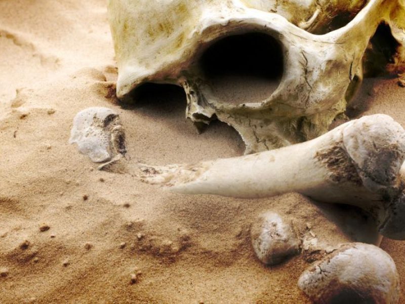 Namo kieme netoli Druskininkų rasta žmogaus kaukolė ir kaulų fragmentai