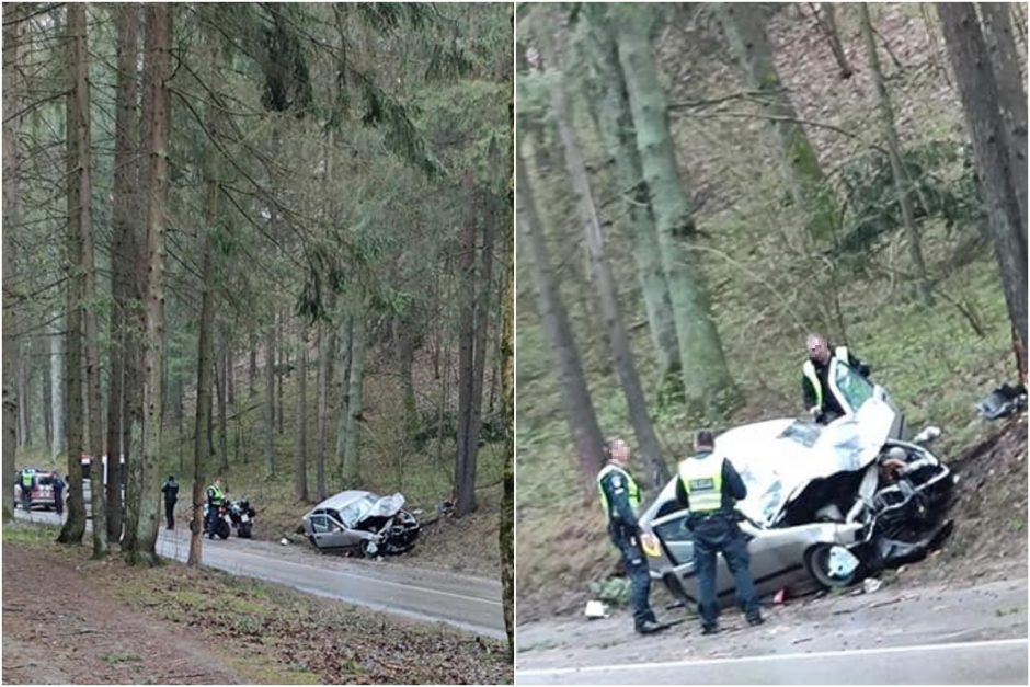 Vilniuje BMW rėžėsi į medį: vairuotojui prireikė medikų