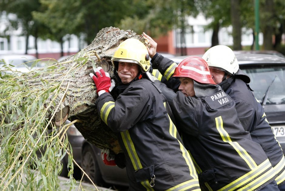 Savaitgalį ugniagesiams darbo netrūko: vėjo gūsiai daugiausia žalos pridarė Klaipėdos apskrityje