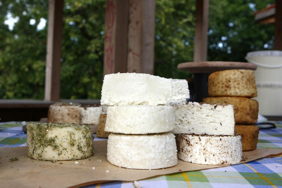 Ožkos sūris - vienas seniausių pieno produktų