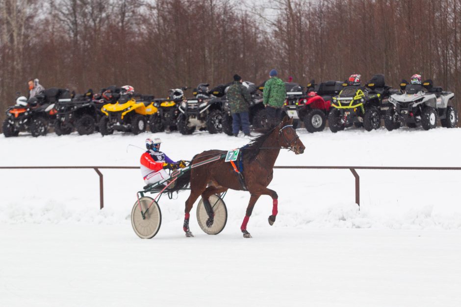 Finišavo tradicinės žirgų lenktynės „Sartai 2019“: kas buvo greičiausias?
