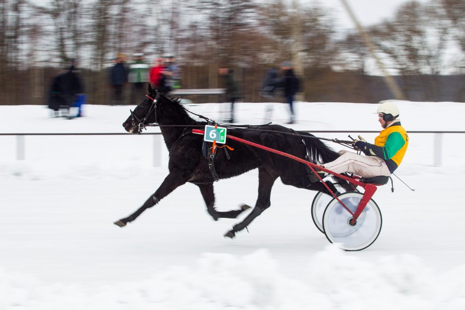 Finišavo tradicinės žirgų lenktynės „Sartai 2019“: kas buvo greičiausias?