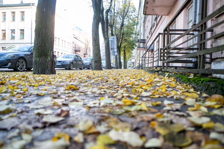 Beda pirštu į lapais nuklotas Kauno gatves: tikrų tikriausia čiuožykla!