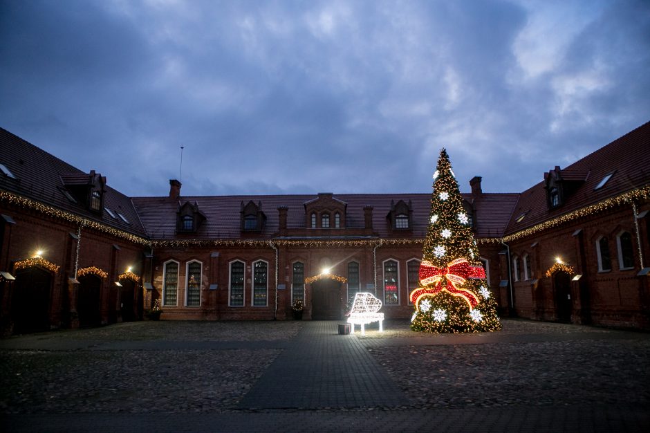 Pirmas žingsnis į šviesių Kalėdų laukimą žengtas: Kauno rajone sužibo eglutė!