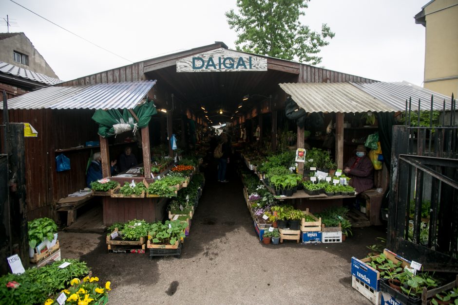 Daigų prekeivis – neviltyje: turgus veikia, bet po žinios apie jo remontą nebeliko pirkėjų