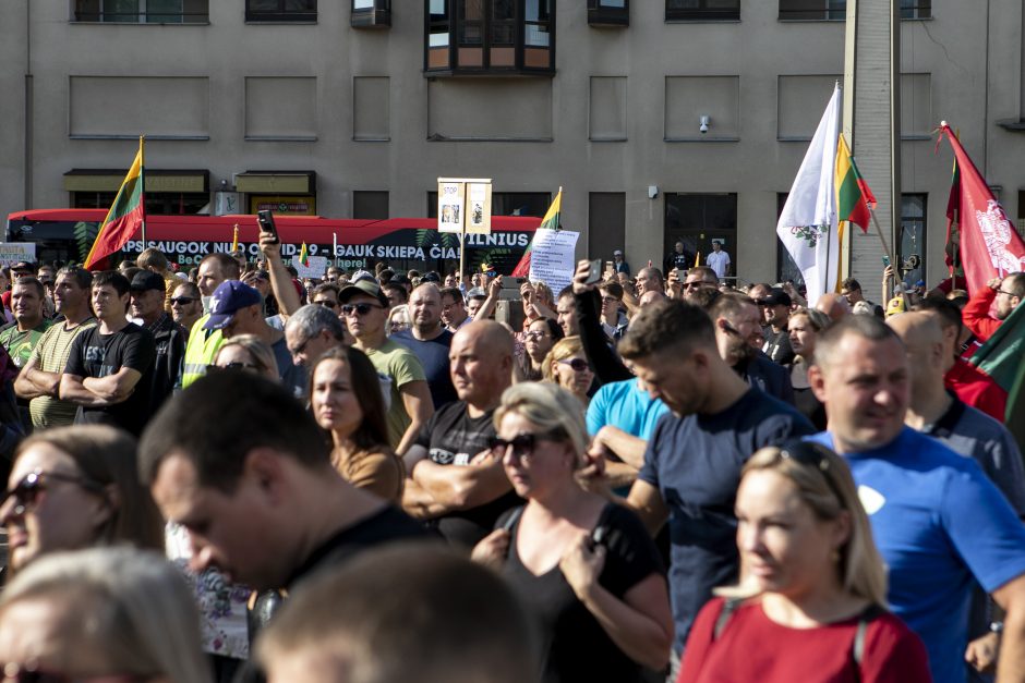 Protestas neapsiėjo be incidentų: sumuštas žmogus, sulaikyti du girti ir vienas su narkotikais