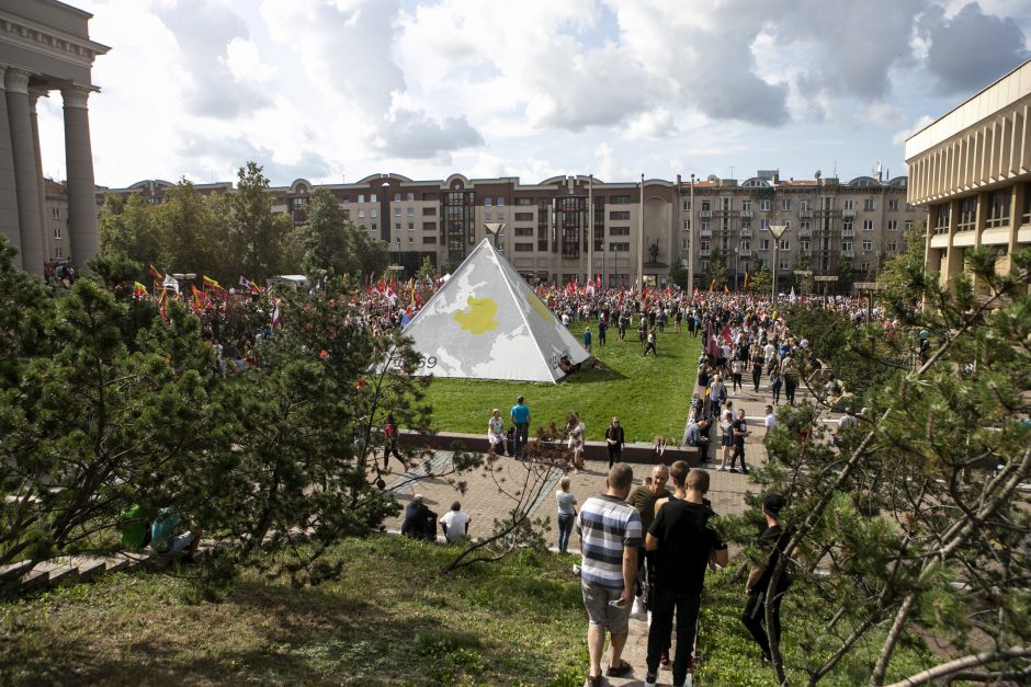 Protestas neapsiėjo be incidentų: sumuštas žmogus, sulaikyti du girti ir vienas su narkotikais