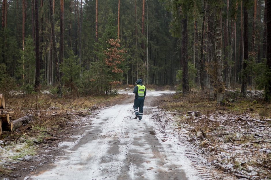 Miško lankytojams – miškininkų ir pareigūnų dovanos