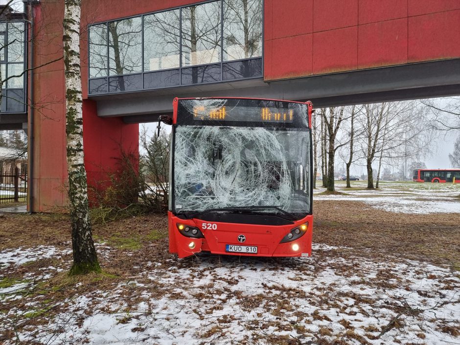 Per plauką nuo tragedijos: autobuso vairuotojas prarado sąmonę ties posūkiu, kur jo laukė keleiviai