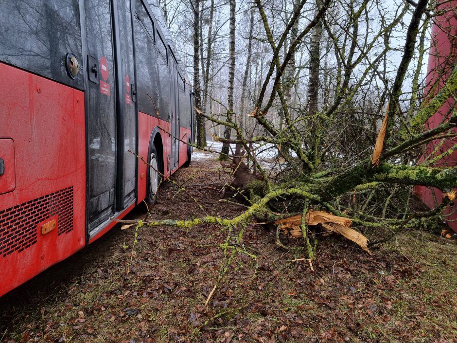 Per plauką nuo tragedijos: autobuso vairuotojas prarado sąmonę ties posūkiu, kur jo laukė keleiviai