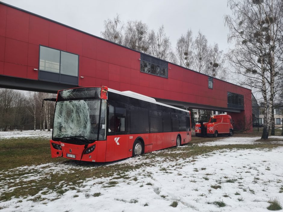 Per plauką nuo tragedijos: autobuso vairuotojas prarado sąmonę ties posūkiu, kur jo laukė keleiviai