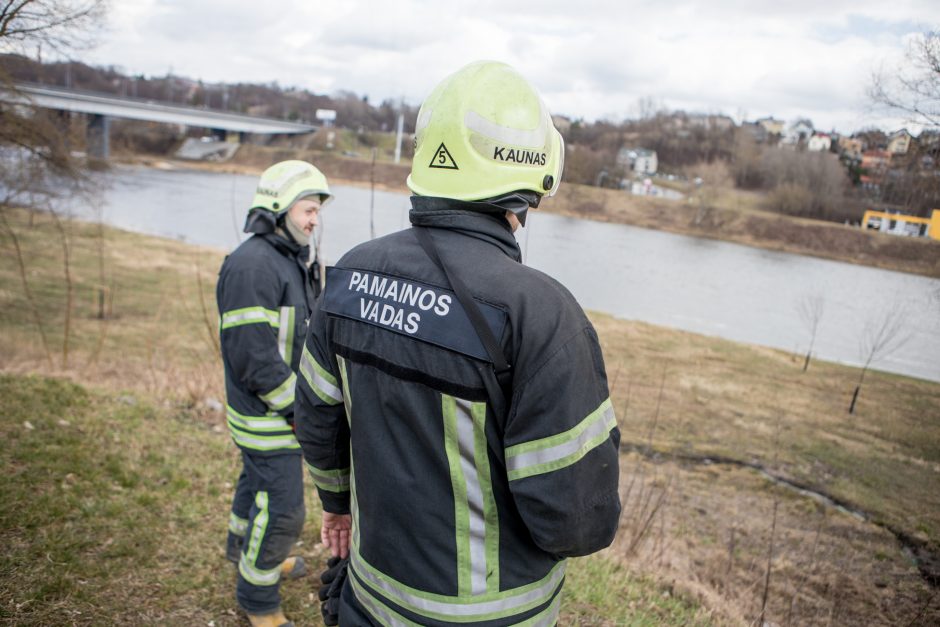 Sujudimas prie Varnių tilto: buvo iškviesti gelbėtojai ir aplinkosaugininkai