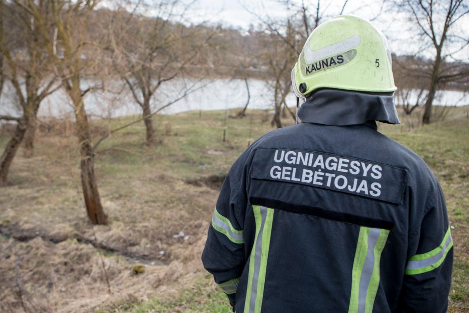 Sujudimas prie Varnių tilto: buvo iškviesti gelbėtojai ir aplinkosaugininkai