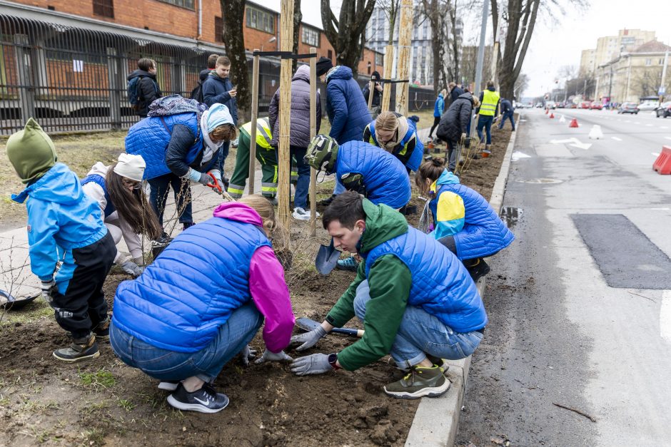 Sostinės meras rengia talką: padėkime Savanorių prospektui sužaliuoti