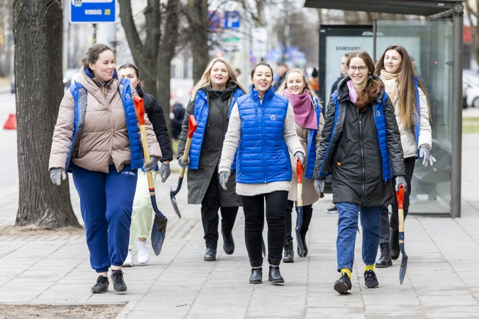 Sostinės meras rengia talką: padėkime Savanorių prospektui sužaliuoti