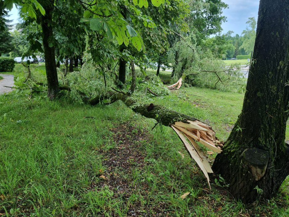 Kontrastai Kaune: vienur – svilinanti kaitra, kitur – skęstančios gatvės ir lūžtantys medžiai