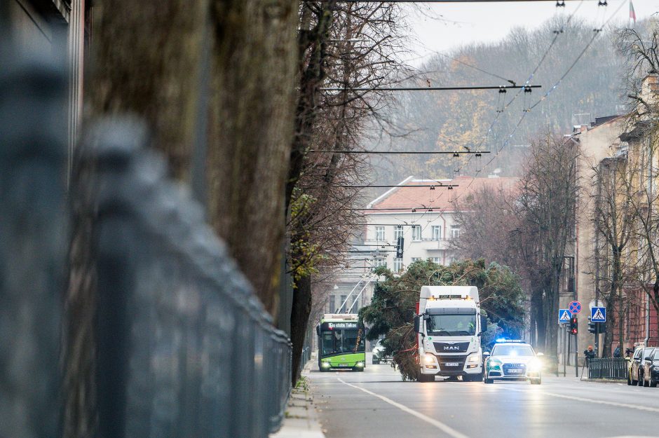 Kalėdinė Kauno kelionė prasideda!