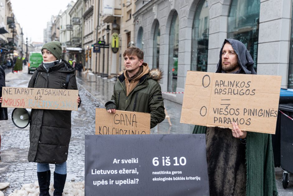 Vilniuje – aplinkosaugininkų kontroprotestas: „Gėda pelėda, paukščiai nebegieda“