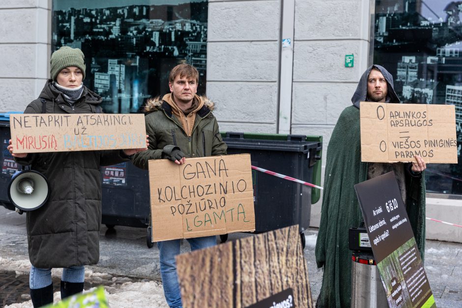 Vilniuje – aplinkosaugininkų kontroprotestas: „Gėda pelėda, paukščiai nebegieda“