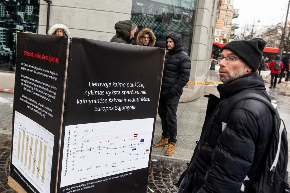 Vilniuje – aplinkosaugininkų kontroprotestas: „Gėda pelėda, paukščiai nebegieda“