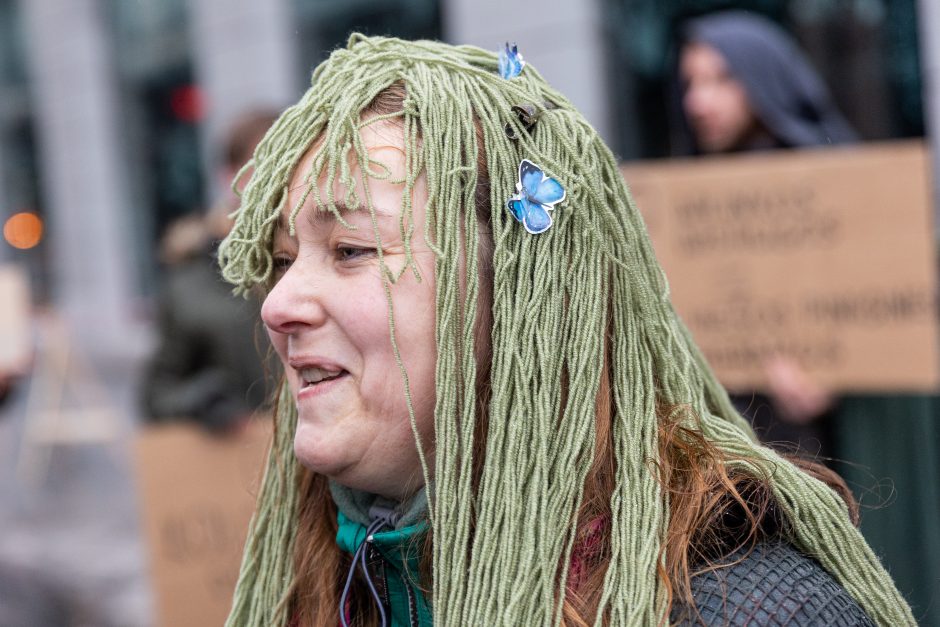 Vilniuje – aplinkosaugininkų kontroprotestas: „Gėda pelėda, paukščiai nebegieda“