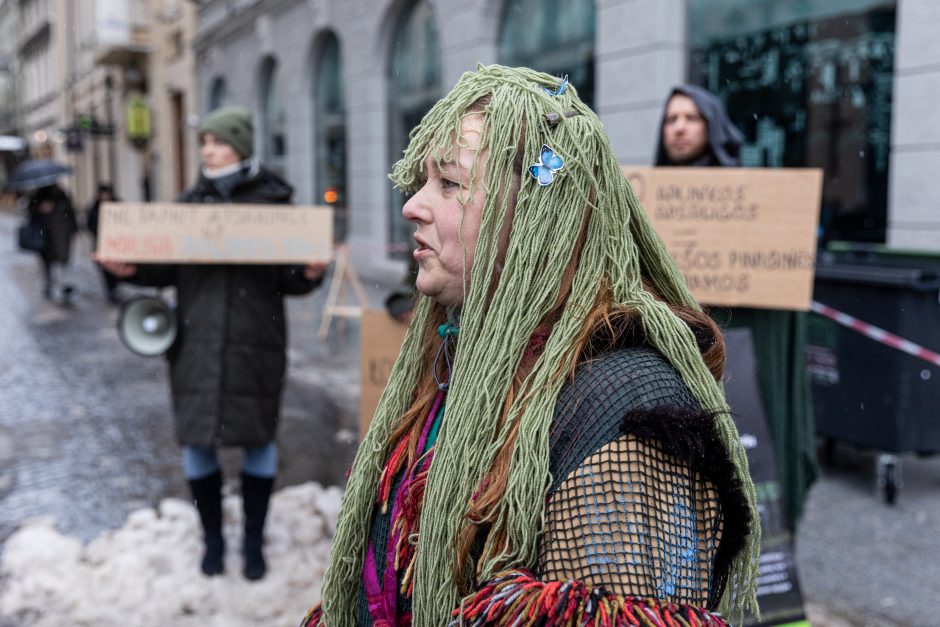 Vilniuje – aplinkosaugininkų kontroprotestas: „Gėda pelėda, paukščiai nebegieda“