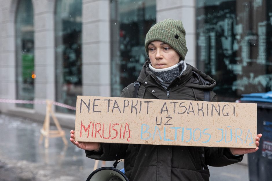 Vilniuje – aplinkosaugininkų kontroprotestas: „Gėda pelėda, paukščiai nebegieda“