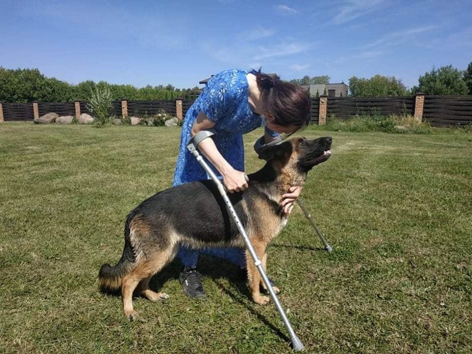 Ajana kovoja dėl neįgaliesiems padedančių šunų įteisinimo: kelias nėra lengvas