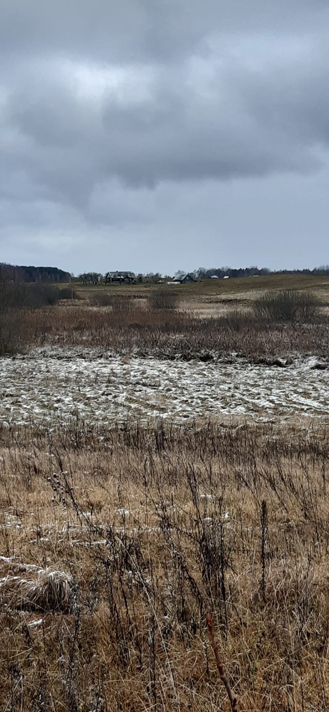 Žiema jau ant nosies: lietuviai fiksavo pirmąsias šio sezono snaiges