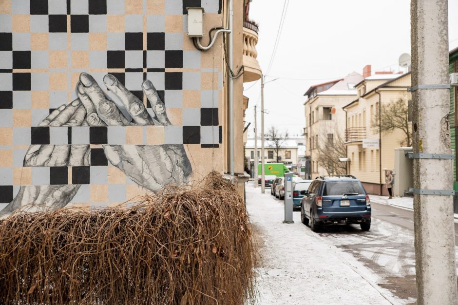 Kauno gatvės meno galerija toliau pildosi: sienoje įamžinti Žemaitės motyvai