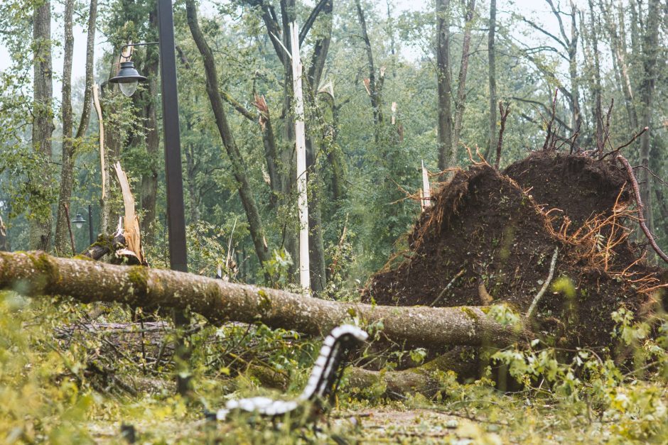 Ieško, kas sutvarkytų audros nuniokotą Žagarės dvaro parką