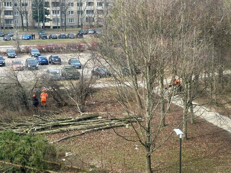 Ukmergės gatvėje neliks 35 medžių: kas čia planuojama?