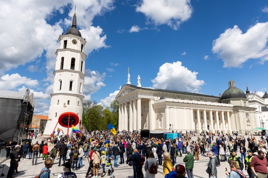 Premjerė: nežinau, ar yra labiau tradicinių vertybių nei mamos ar tėčio kova už savo vaiko orumą