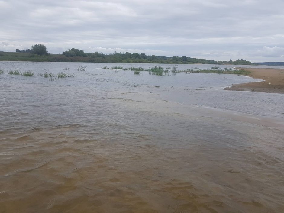 Prabilo kinologas: kaip buvo rastas Nemune nuskendęs paauglys?