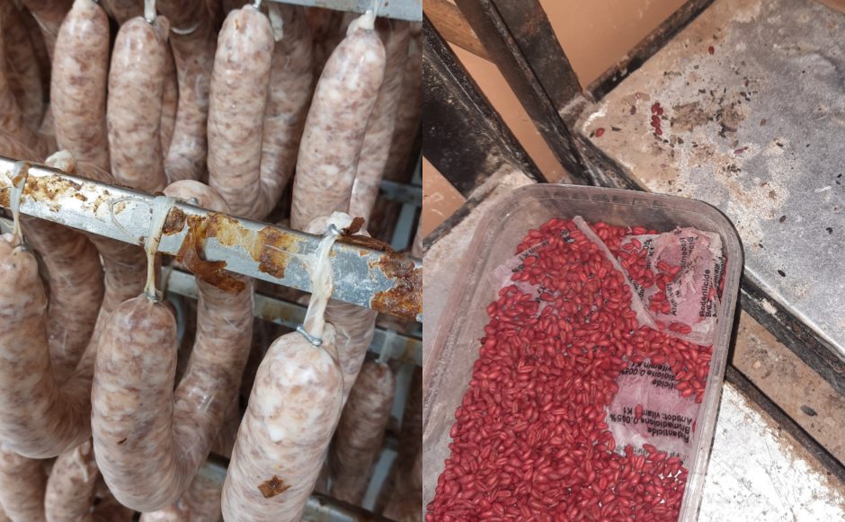 Inspektoriai neteko amo: mėsos gaminių gamyba – šalia graužikų nuodų ir ekskrementų