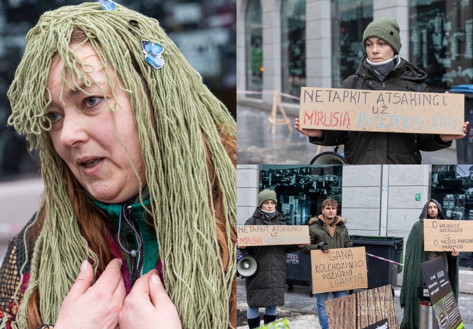 Vilniuje – aplinkosaugininkų kontroprotestas: „Gėda pelėda, paukščiai nebegieda“