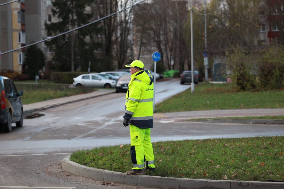 Neeilinė situacija S. Žukausko gatvėje: teko stabdyti eismą