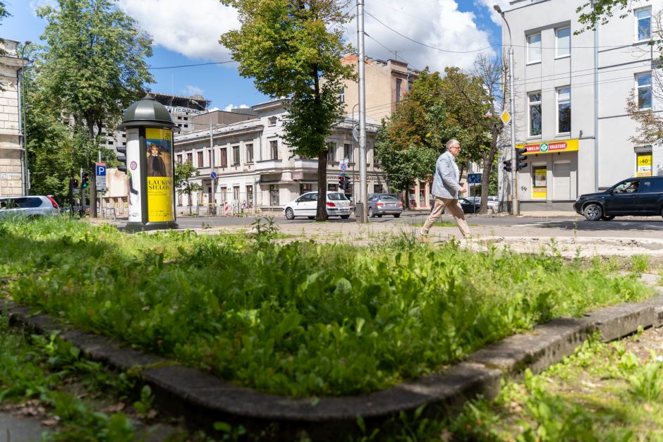 Kauno centre atsiras jaukus skveras