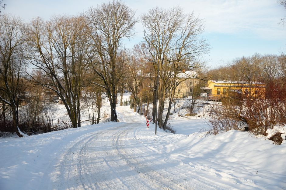 Nykstantį Linkuvos dvaro parką Kaunas sieks prikelti antram gyvenimui