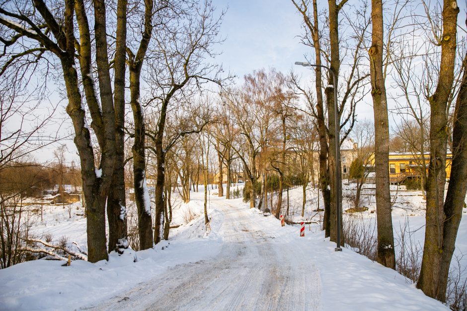 Nykstantį Linkuvos dvaro parką Kaunas sieks prikelti antram gyvenimui