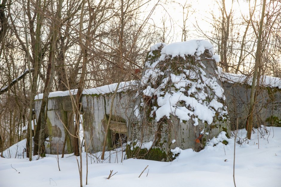 Nykstantį Linkuvos dvaro parką Kaunas sieks prikelti antram gyvenimui