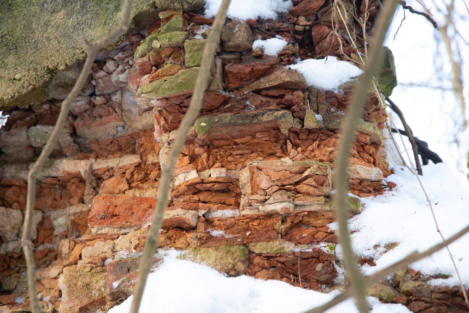 Nykstantį Linkuvos dvaro parką Kaunas sieks prikelti antram gyvenimui