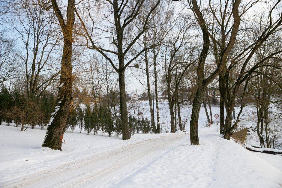 Nykstantį Linkuvos dvaro parką Kaunas sieks prikelti antram gyvenimui