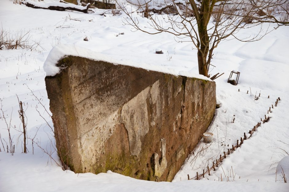 Nykstantį Linkuvos dvaro parką Kaunas sieks prikelti antram gyvenimui