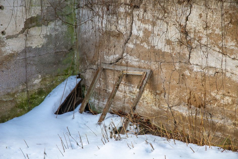 Nykstantį Linkuvos dvaro parką Kaunas sieks prikelti antram gyvenimui