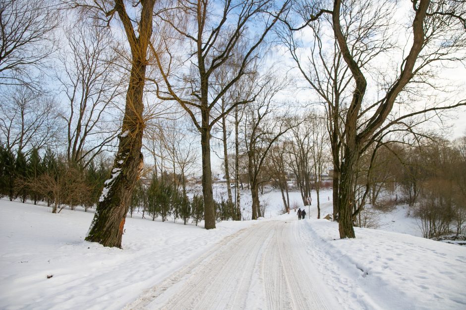 Nykstantį Linkuvos dvaro parką Kaunas sieks prikelti antram gyvenimui