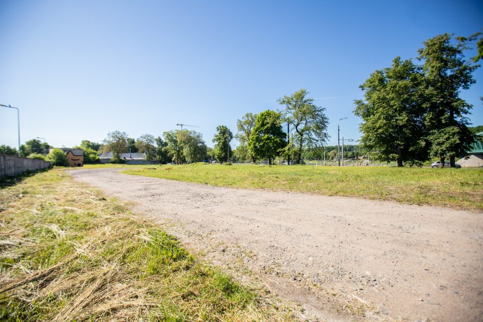 Ar pavyks suvaldyti į Nemuną tekančius teršalus?