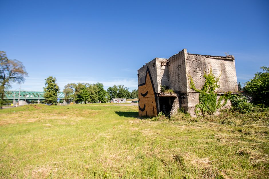 Ar pavyks suvaldyti į Nemuną tekančius teršalus?