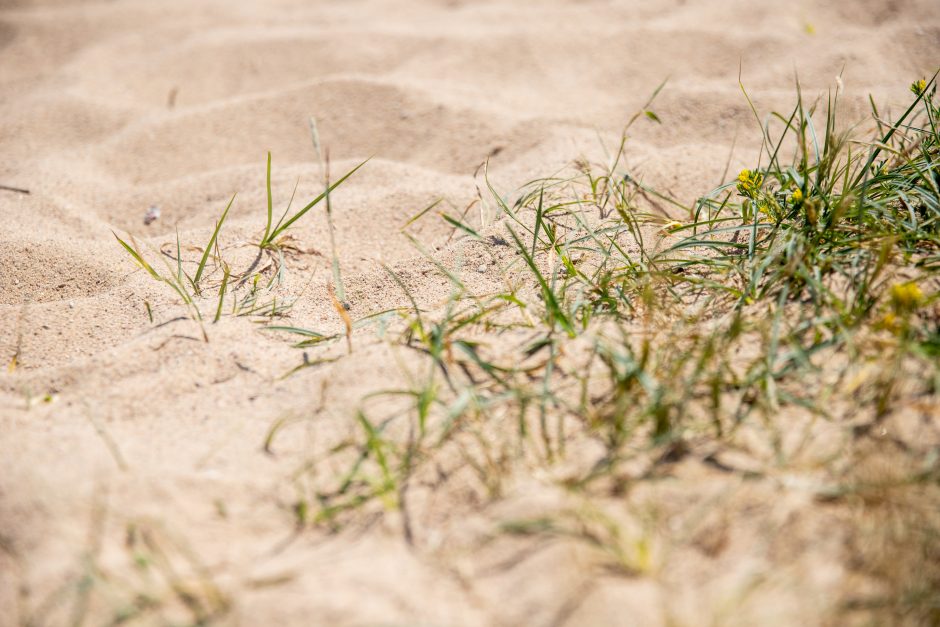 Poilsiautojams kliūva Panemunės paplūdimys – skundžiasi ne tik neveikiančiu dušu 