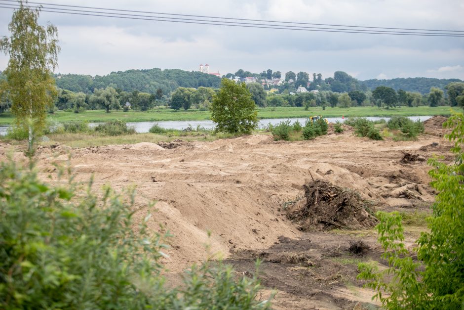 Gyventojus išgąsdino darbai ties Pyplių piliakalniu